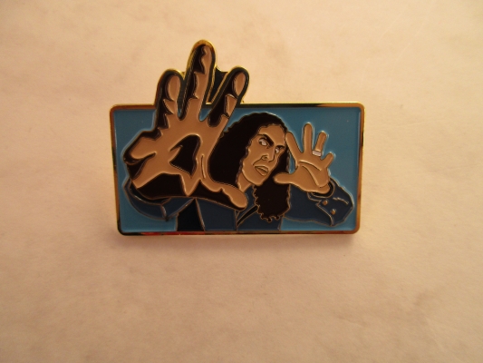Lapel Pin